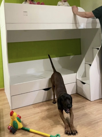 Двухъярусная кровать Умка-3  от Династия Kids